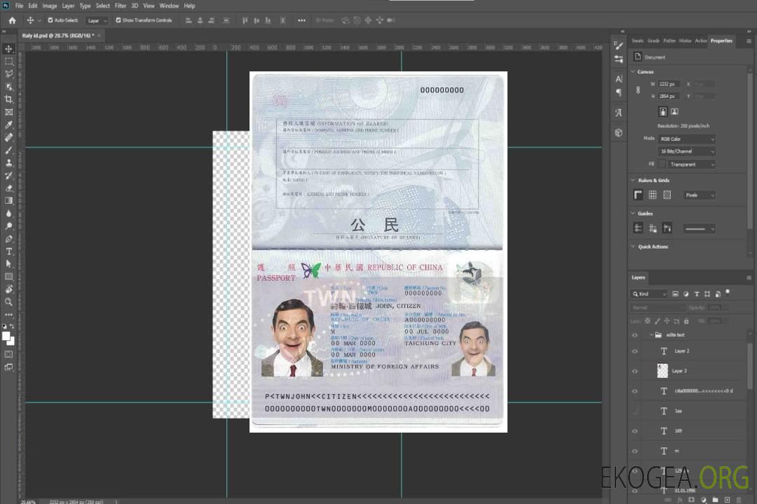 Passeport de Taiwan (officiellement la République de Chine) template